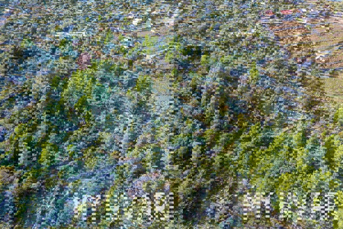 Terreno edificabile a Pitve