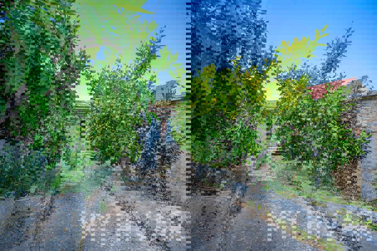 Tenuta tradizionale con cortile a Dol