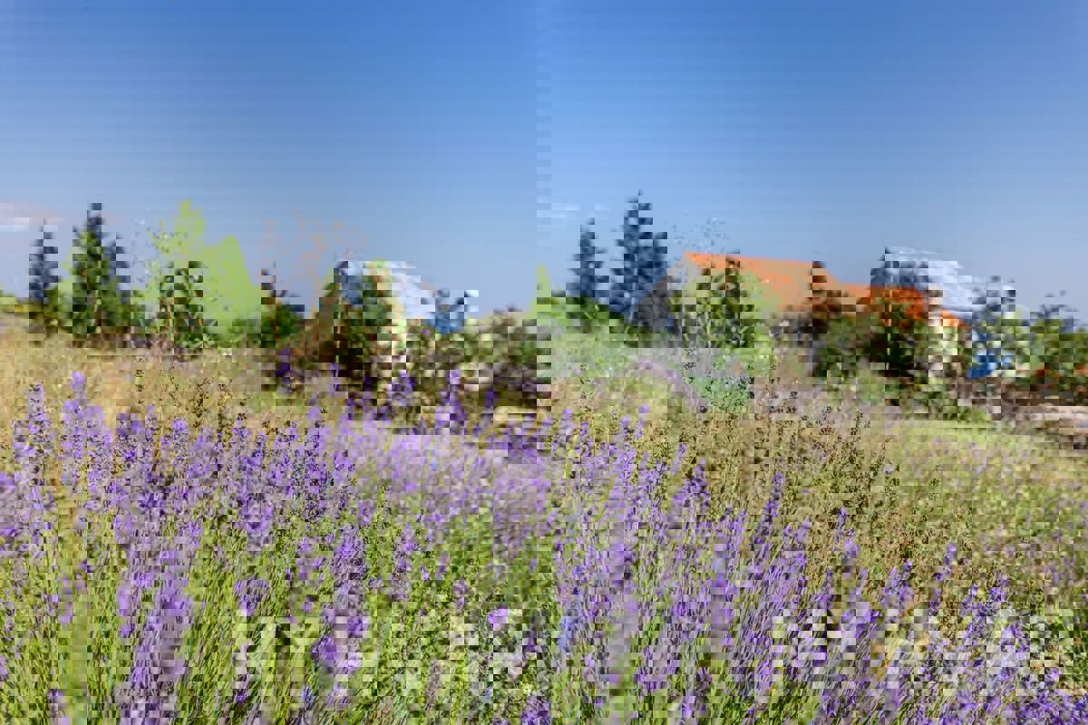 Corte di San Giorgio