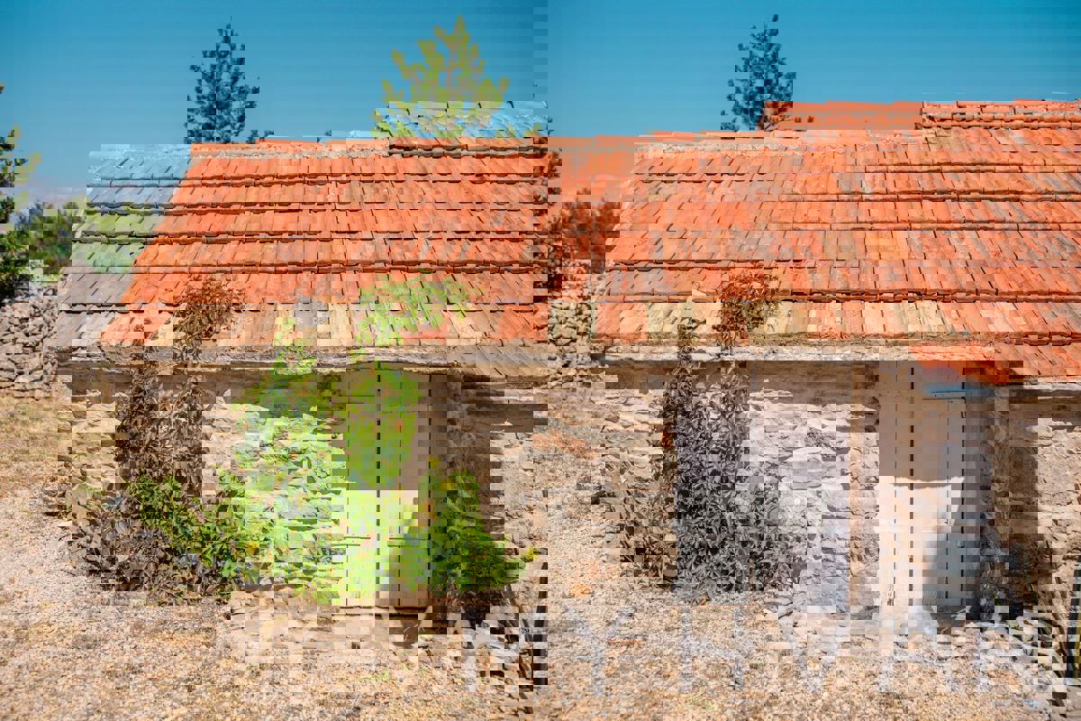 Corte di San Giorgio