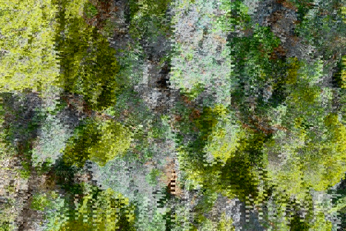 Terreno agricolo vicino al porto dei traghetti