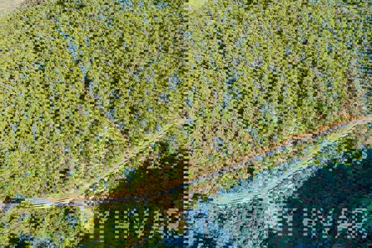 Terreno agricolo vicino al porto dei traghetti