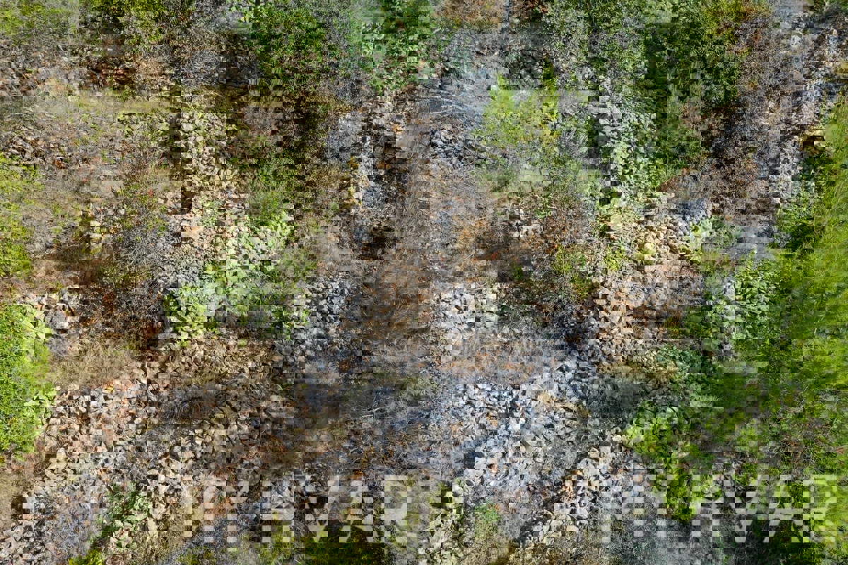 Terreno agricolo vicino al porto dei traghetti