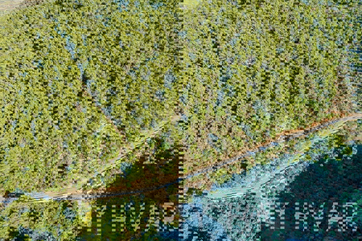 Terreno agricolo vicino al porto dei traghetti