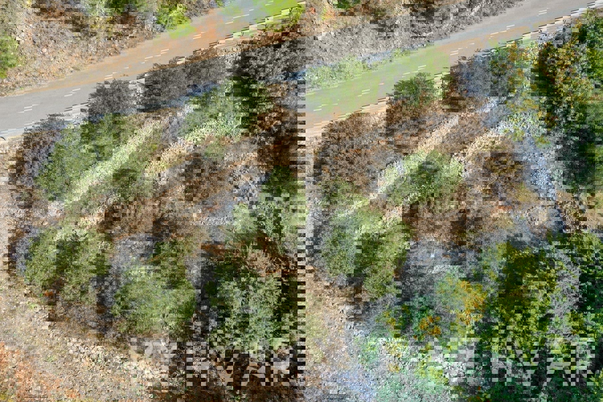 Terreno agricolo vicino al porto dei traghetti