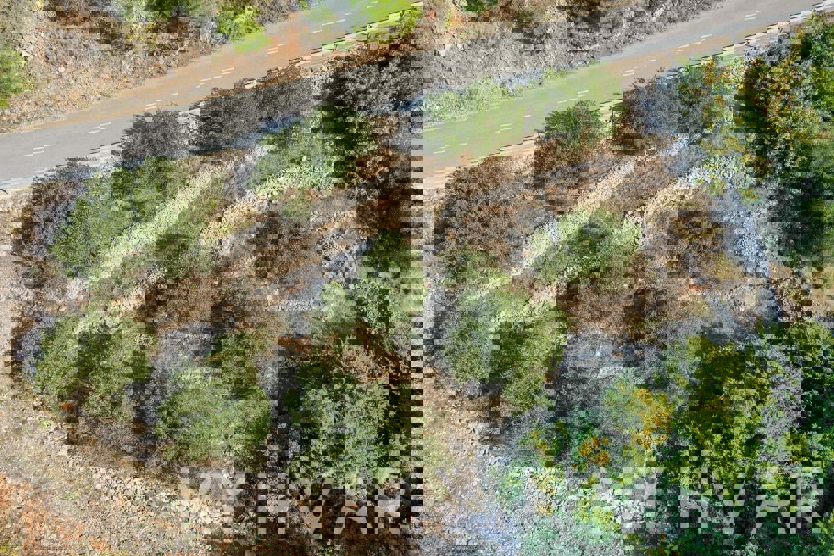 Terreno agricolo vicino al porto dei traghetti