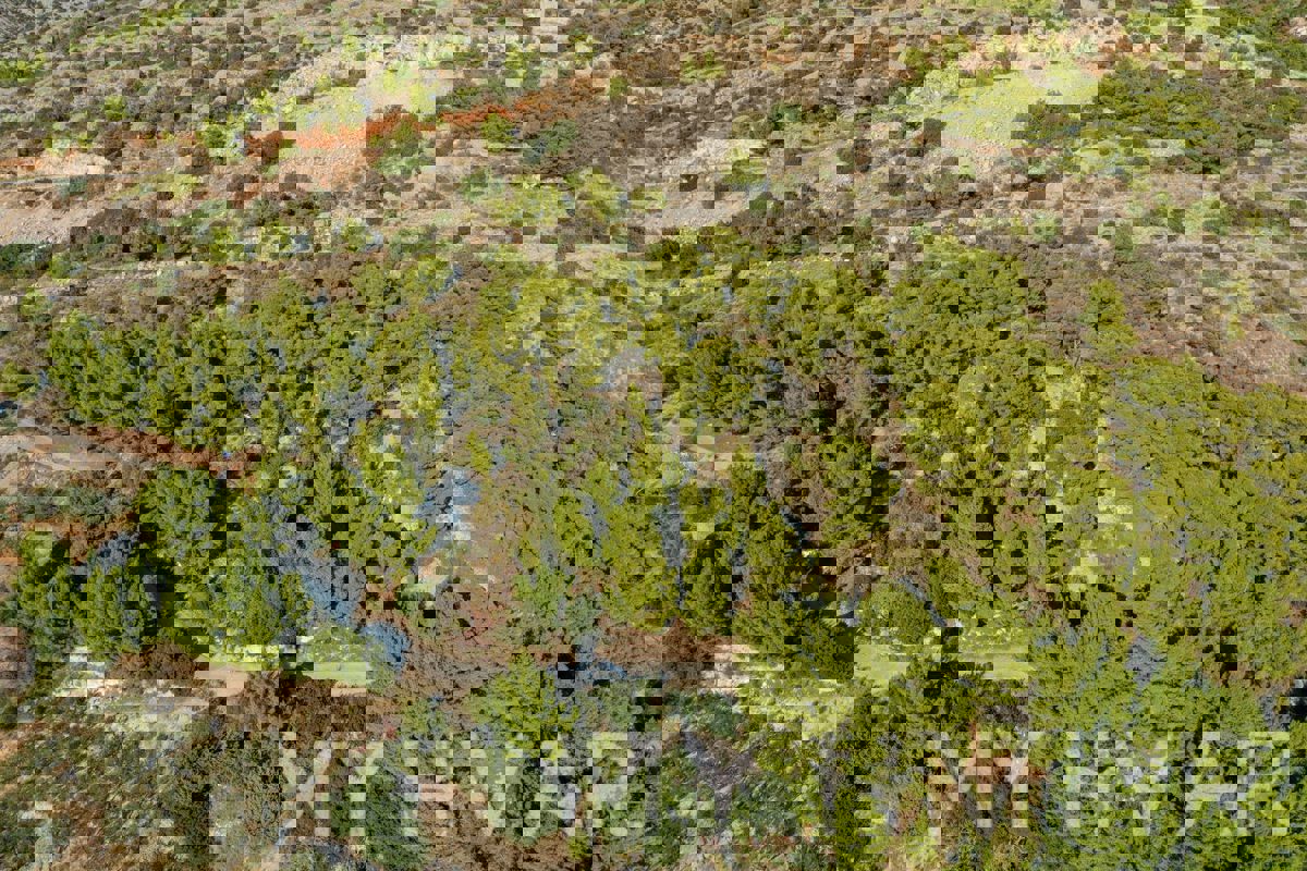 Terreno con progetto e vista mare