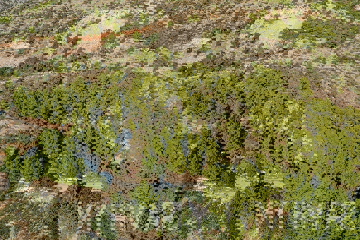 Terreno con progetto e vista mare