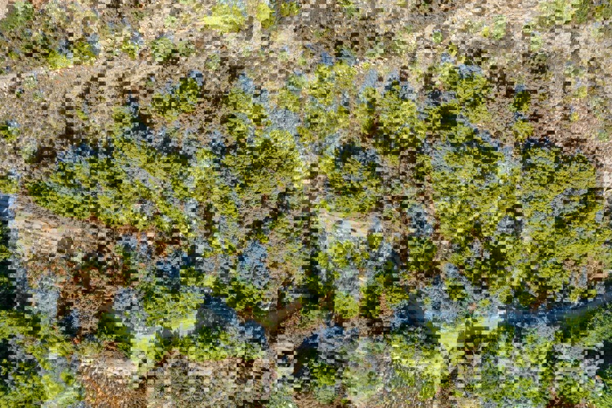 Terreno con progetto e vista mare