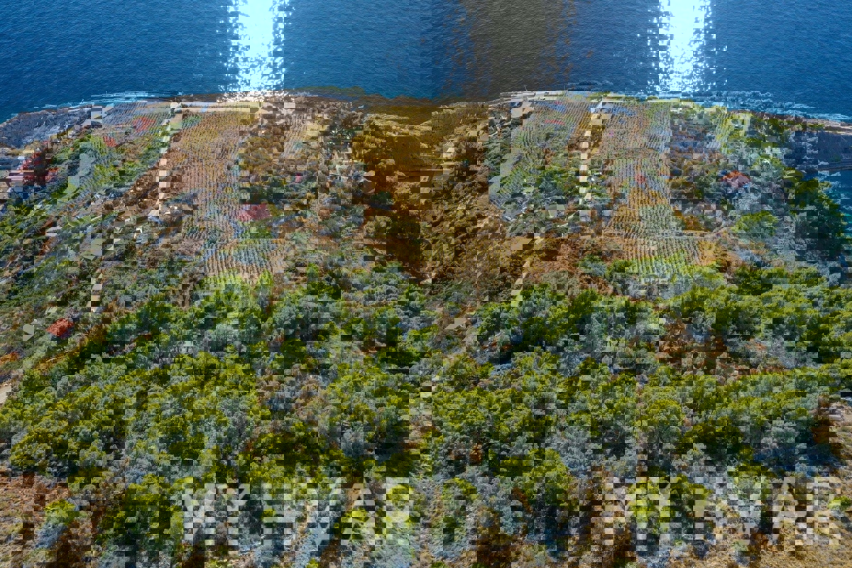 Terreno con progetto e vista mare