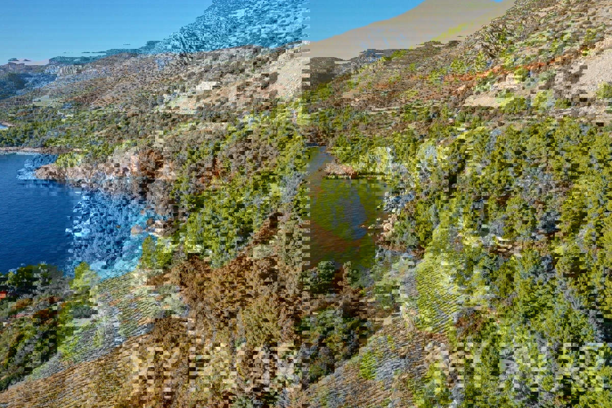 Terreno con progetto e vista mare