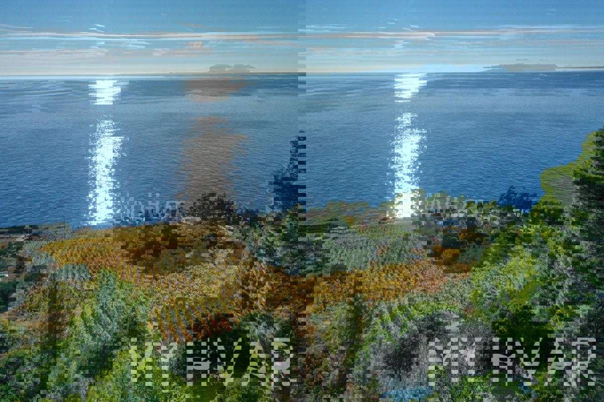 Terreno con progetto e vista mare