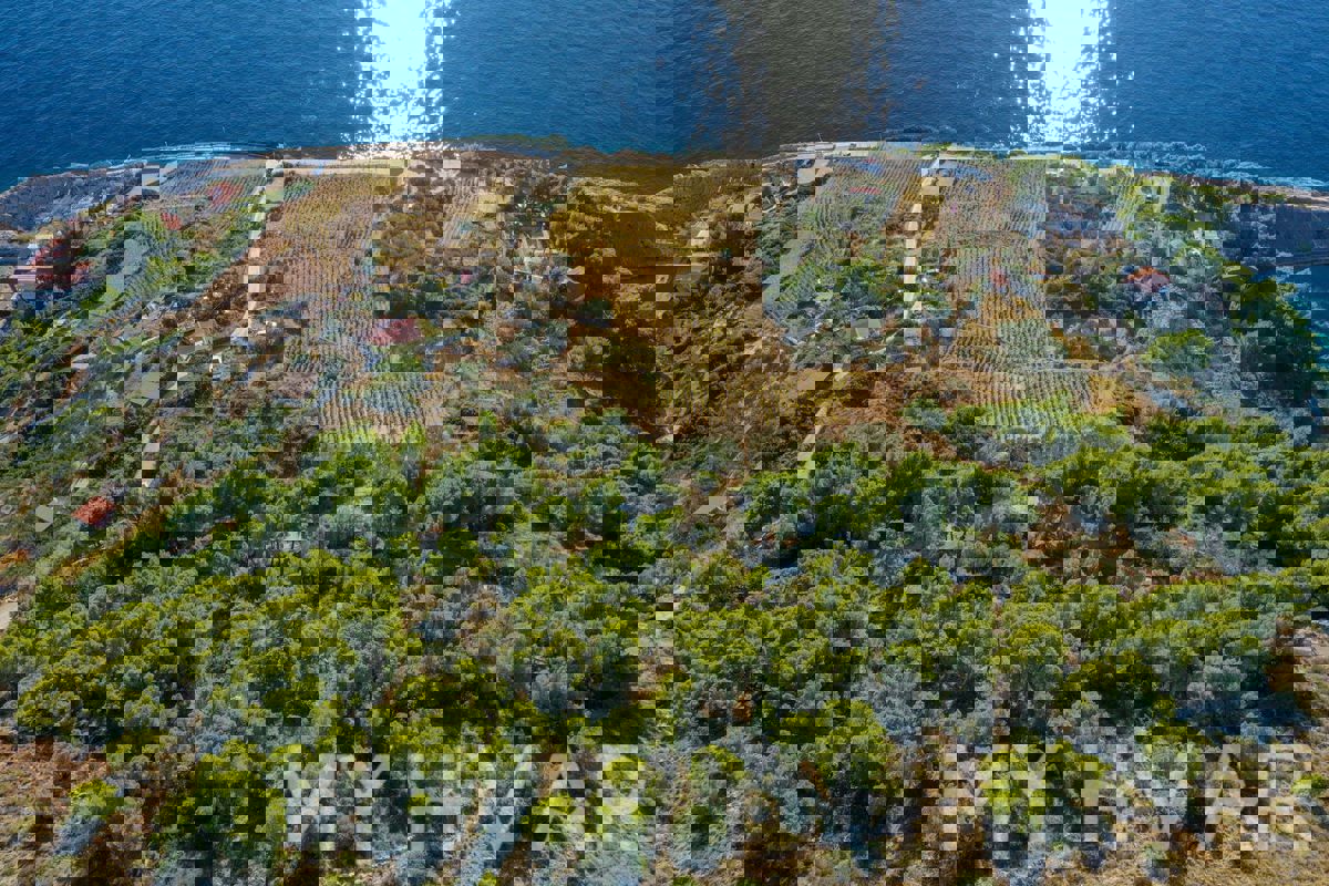 Terreno con progetto e vista mare