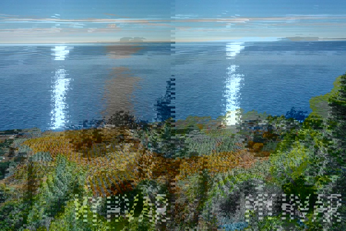 Terreno con progetto e vista mare