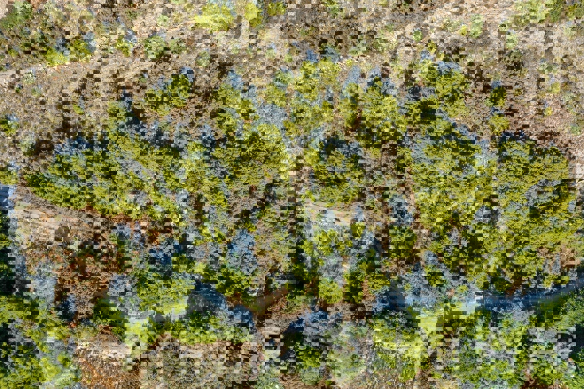 Terreno con progetto e vista mare