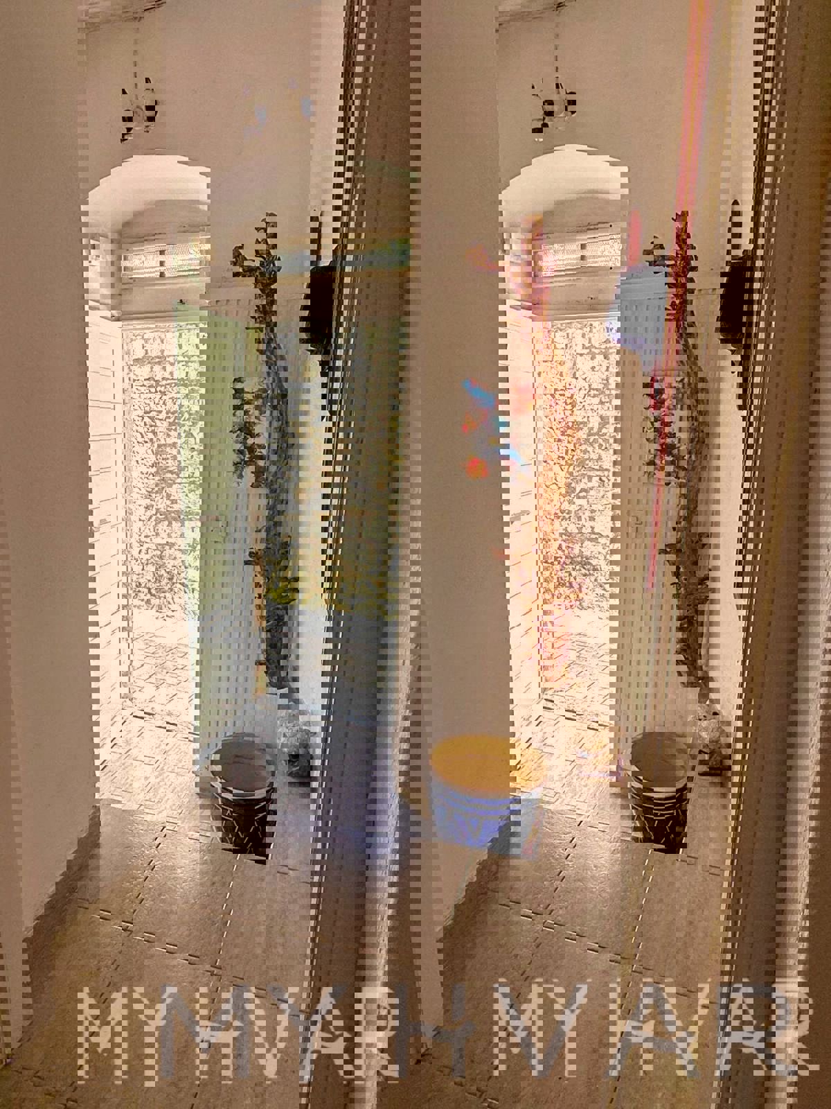 Casa tradizionale dalmata in una posizione attraente