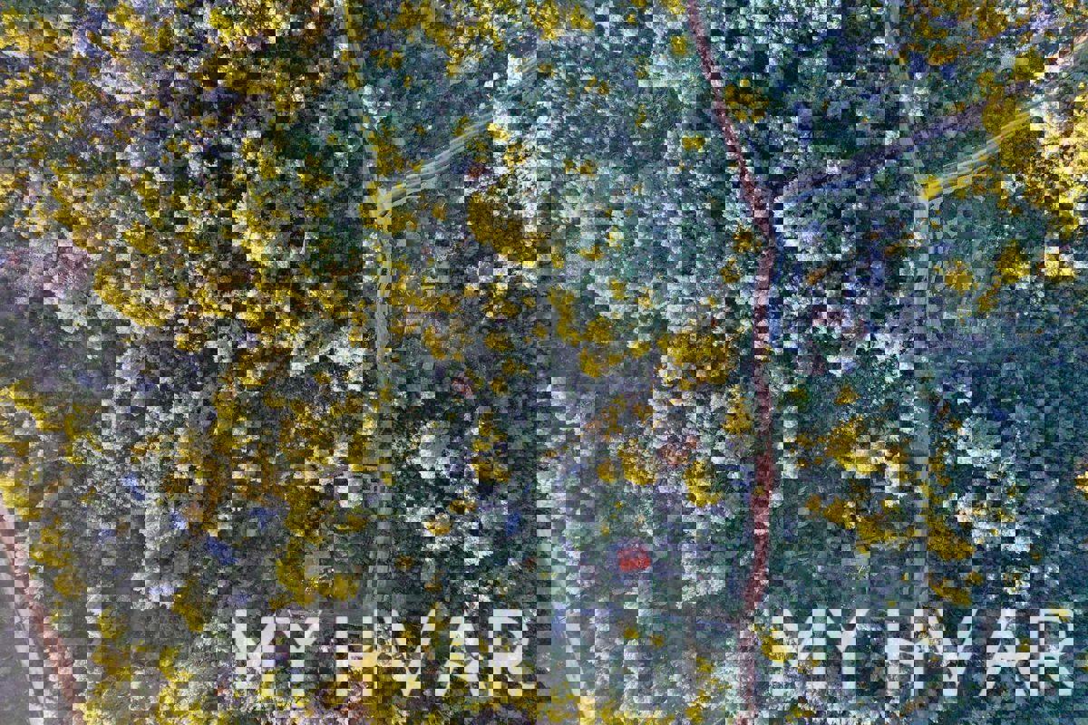 Capanne di pietra nascoste a Mudri Dolac