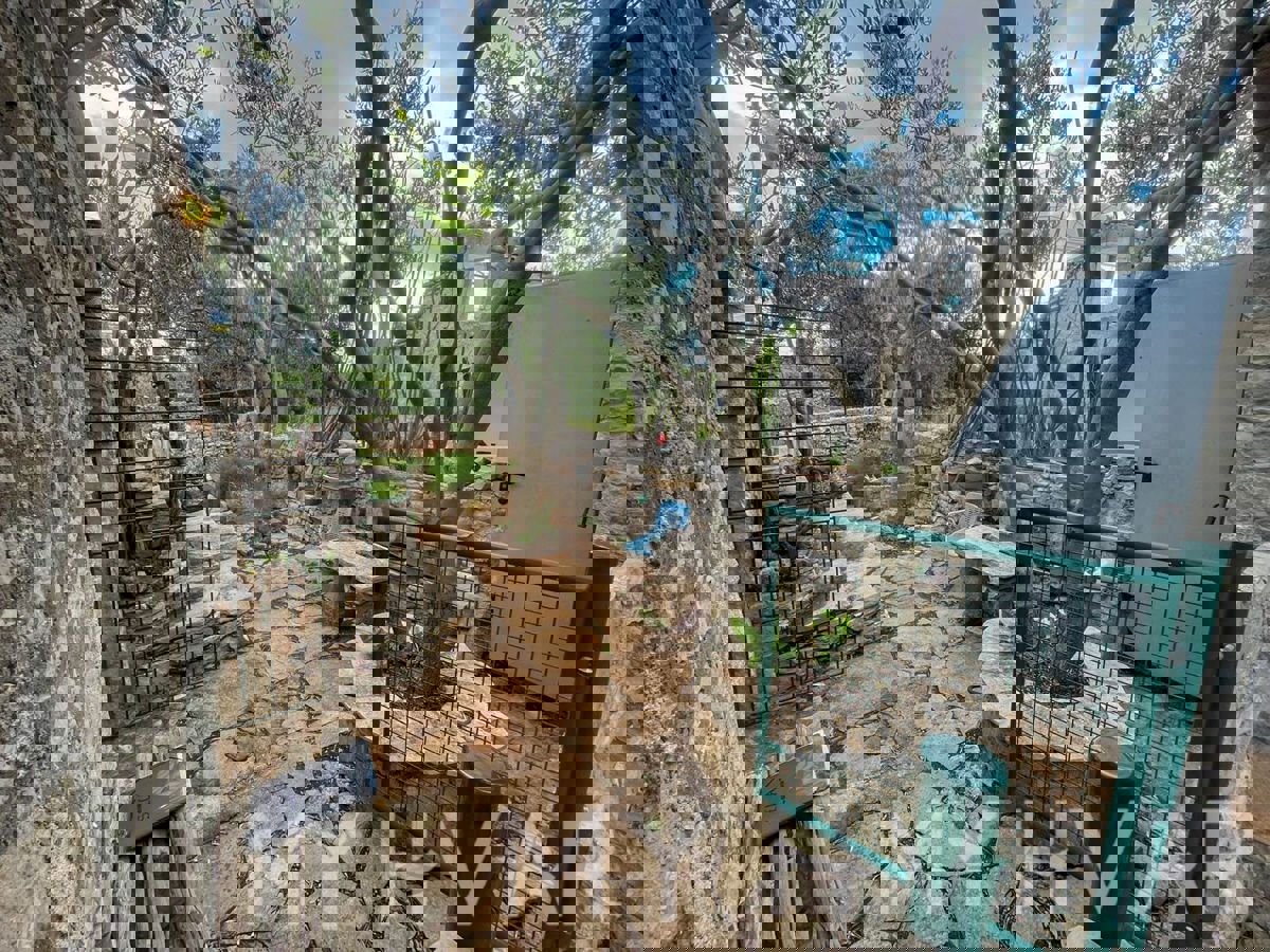 Casa bifamiliare, fattoria e uliveto sul mare a Hvar