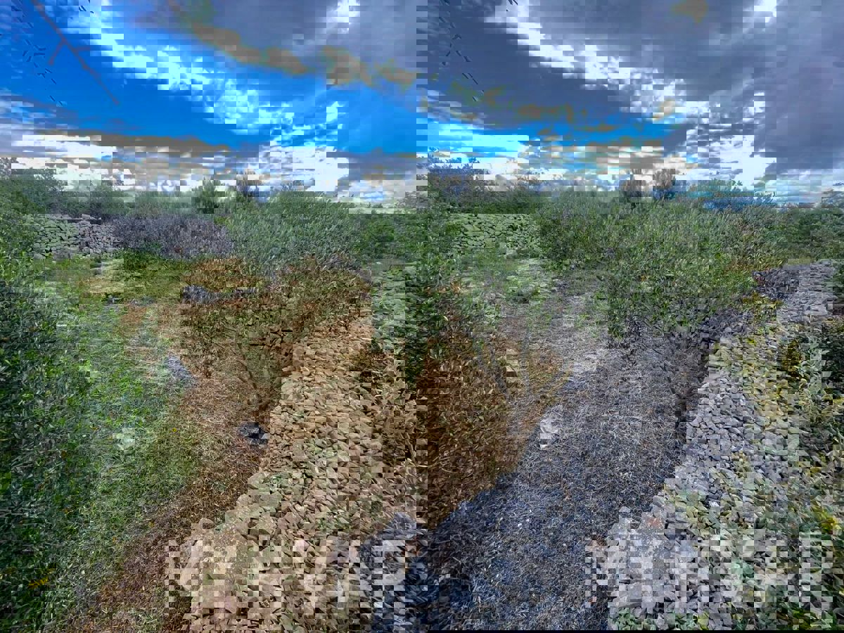 Casa bifamiliare, fattoria e uliveto sul mare a Hvar