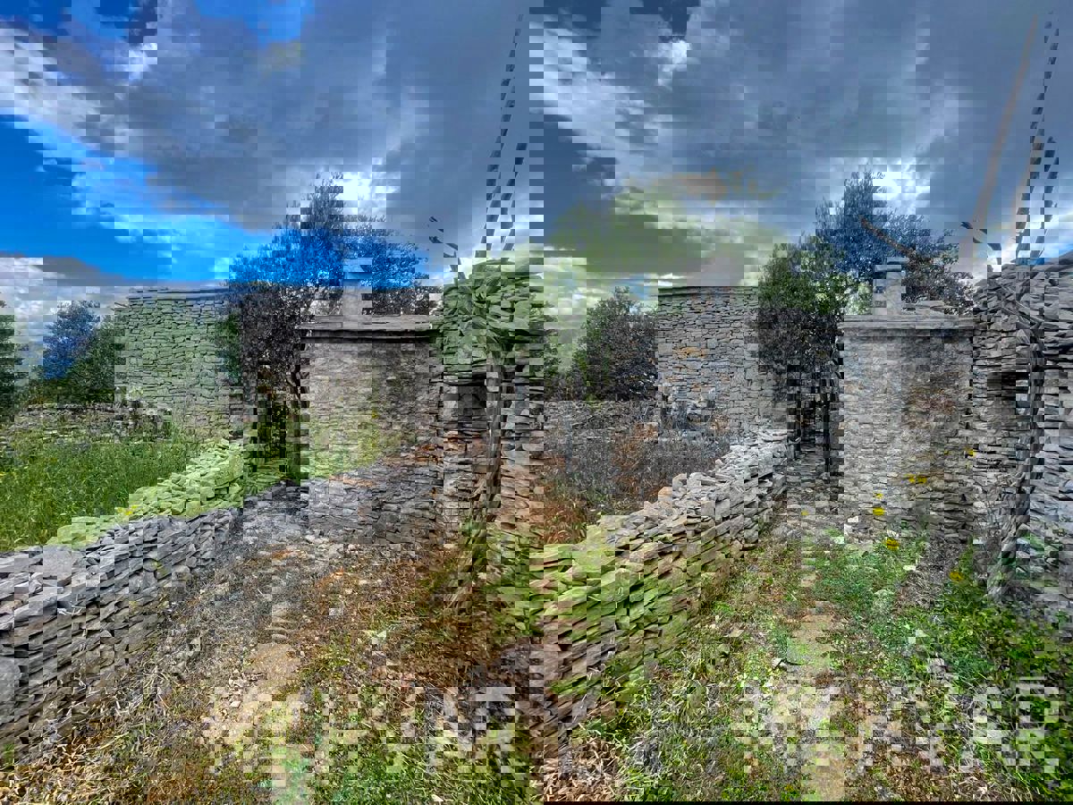 Casa bifamiliare, fattoria e uliveto sul mare a Hvar