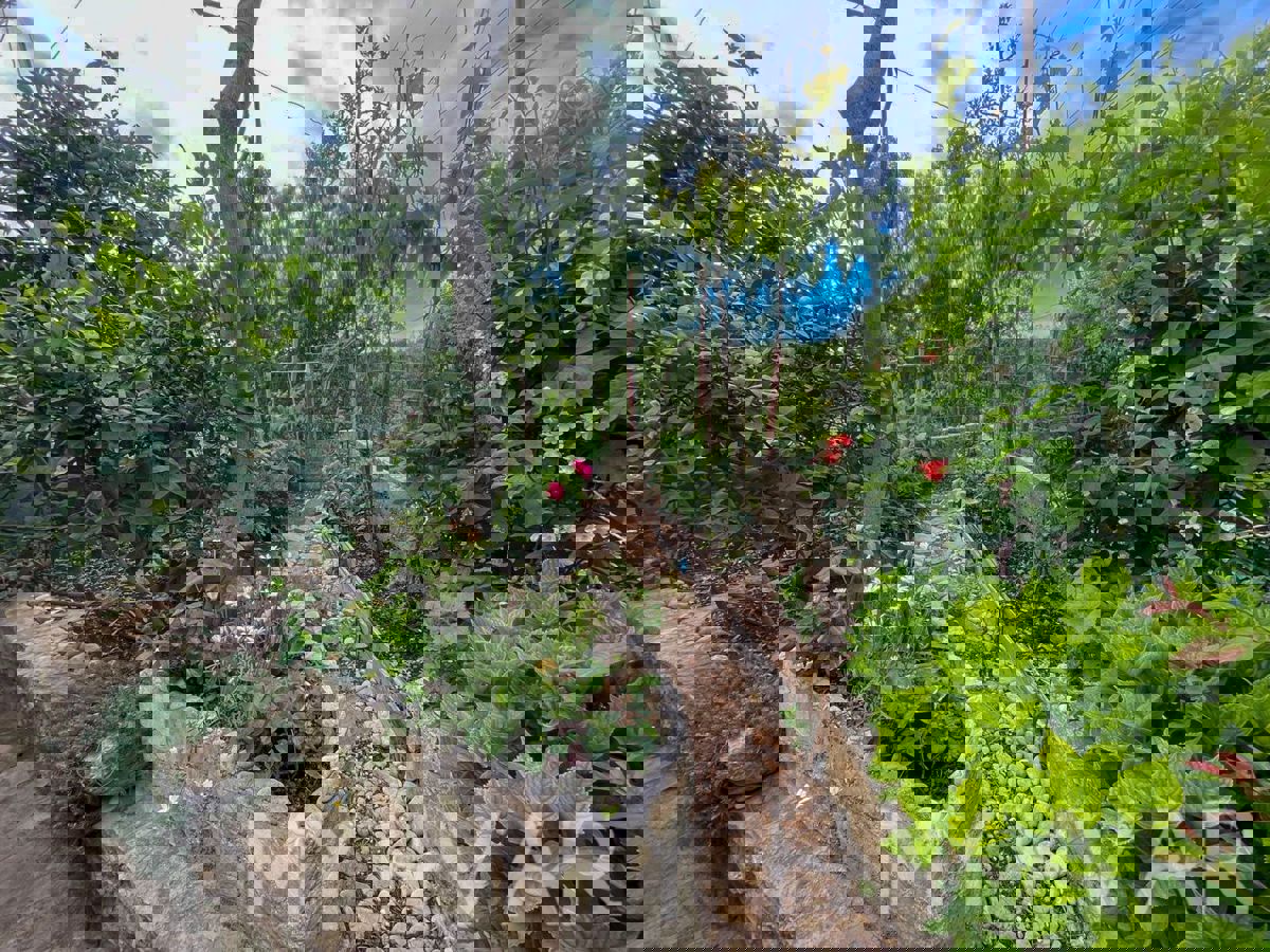 Casa bifamiliare, fattoria e uliveto sul mare a Hvar