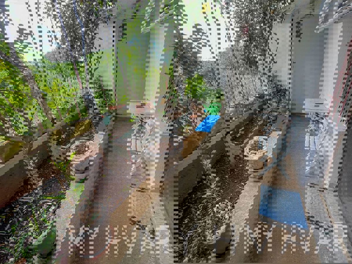 Casa bifamiliare, fattoria e uliveto sul mare a Hvar