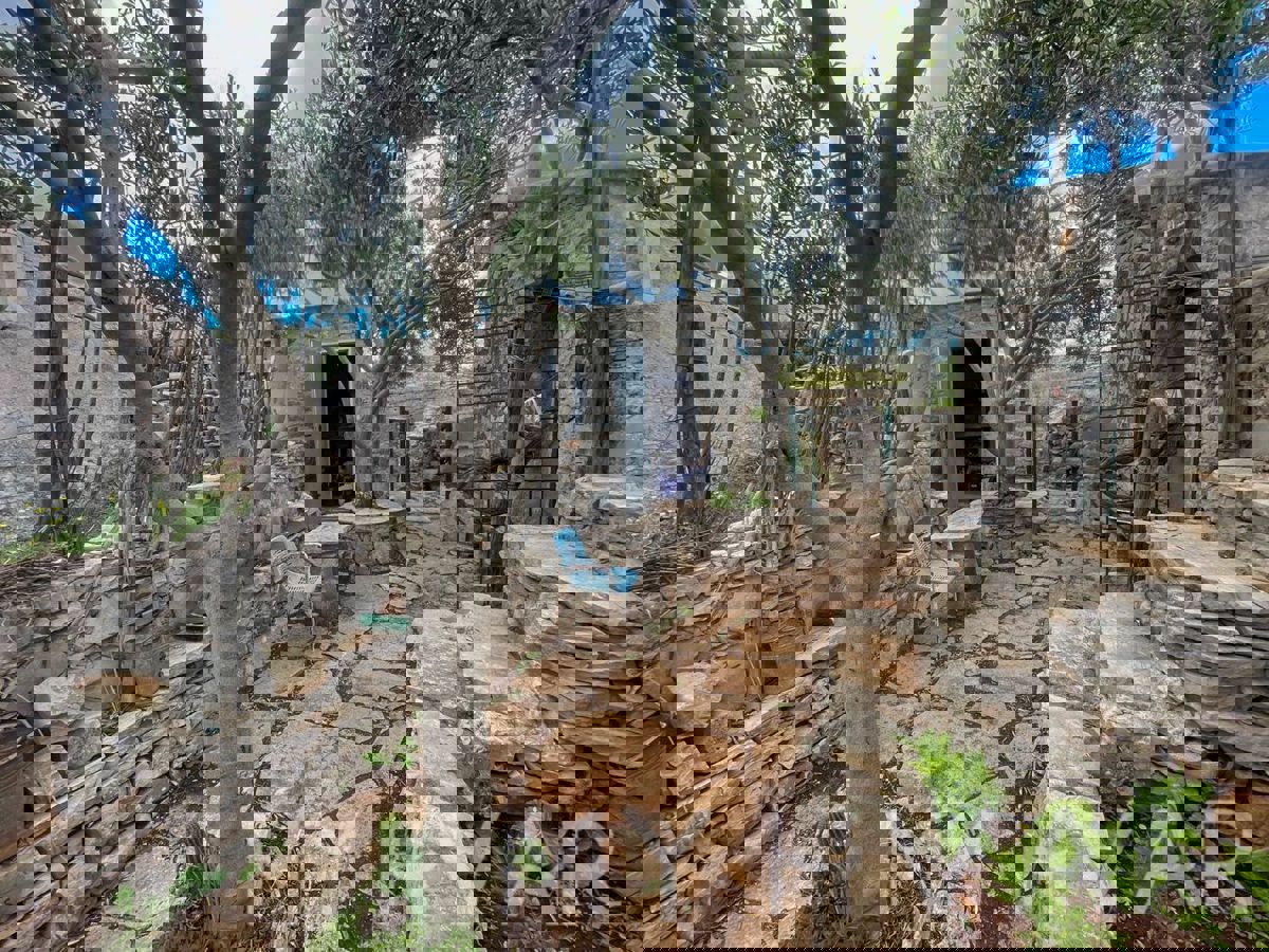 Casa bifamiliare, fattoria e uliveto sul mare a Hvar