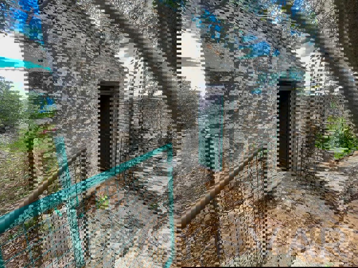 Casa bifamiliare, fattoria e uliveto sul mare a Hvar