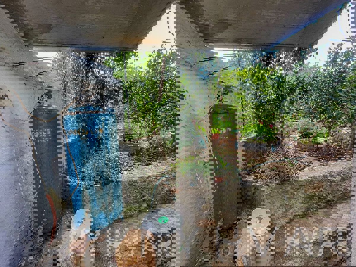 Casa bifamiliare, fattoria e uliveto sul mare a Hvar