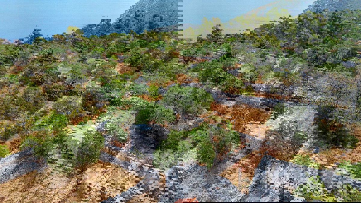 Casa bifamiliare, fattoria e uliveto sul mare a Hvar