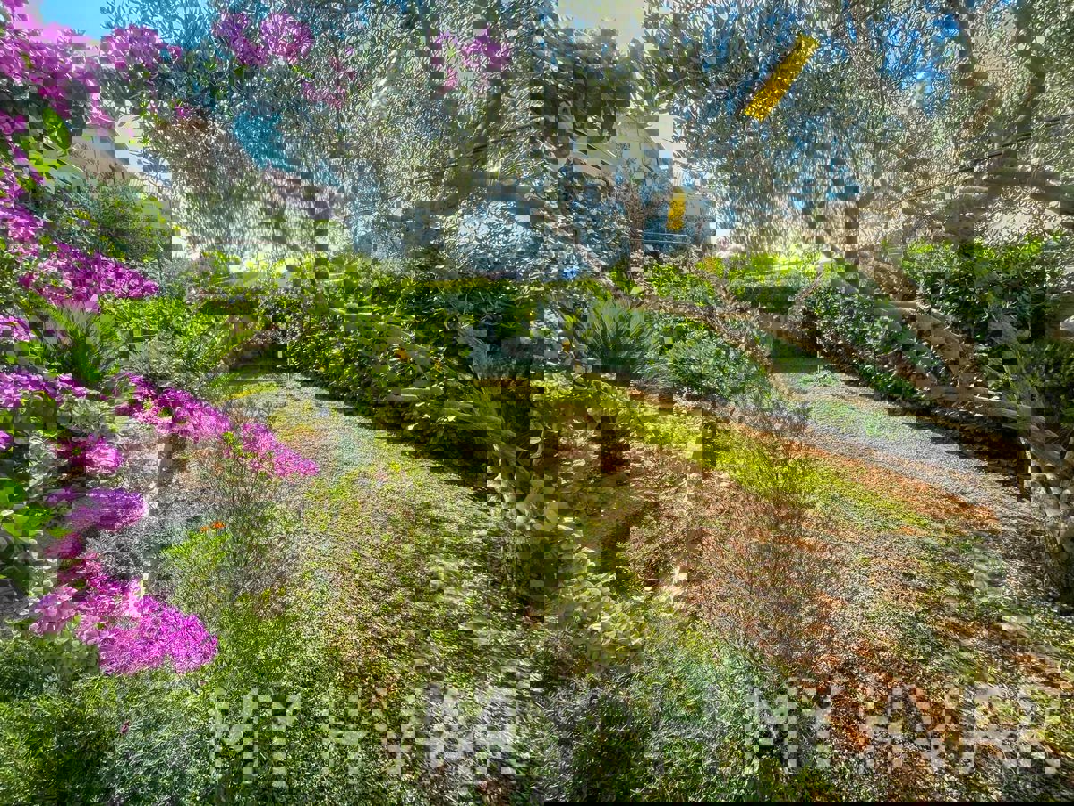 Casa indipendente in posizione tranquilla a Stari Grad