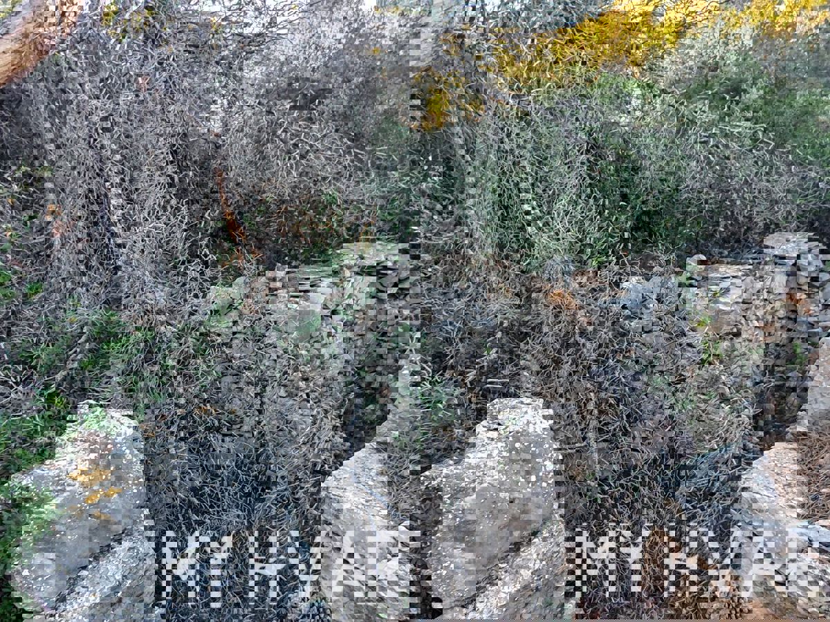 Casa in Pietra con Spiaggia Privata