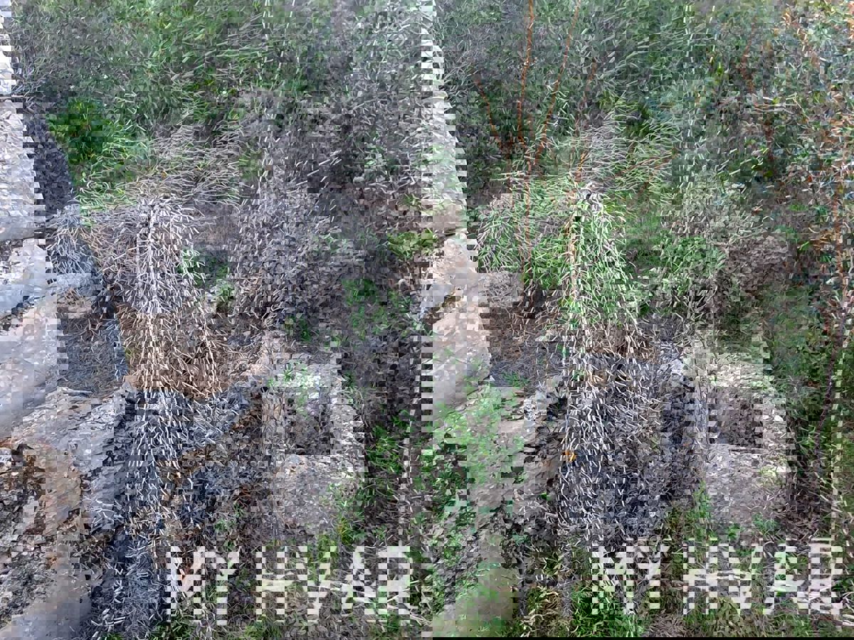 Casa in Pietra con Spiaggia Privata