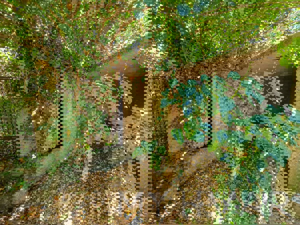 Casa bifamiliare a Banski Dolac