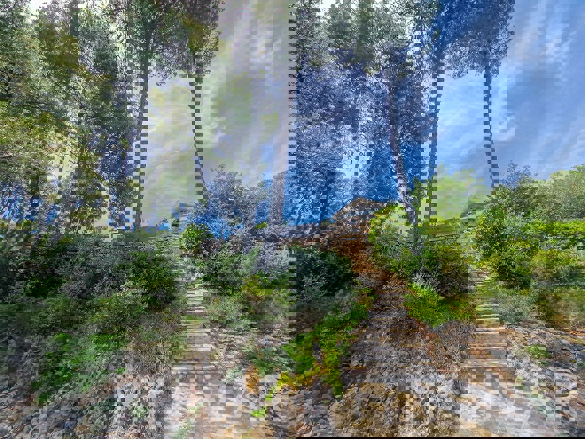 Casa unica in prima fila sul mare a Jelsa/Vrboska