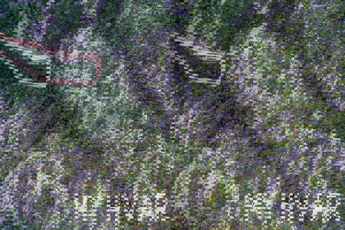 Campo nella vicina baia Medvidina #1