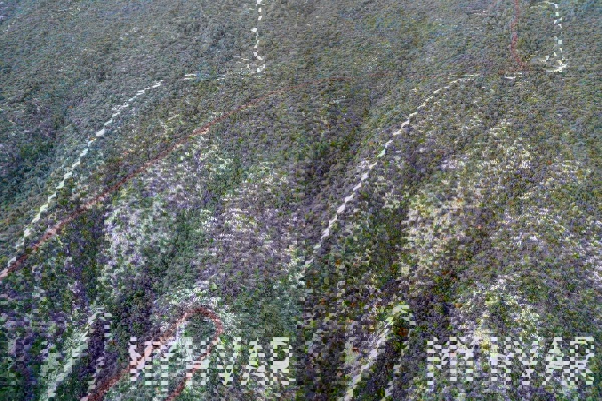 Campo nella vicina baia Medvidina #1