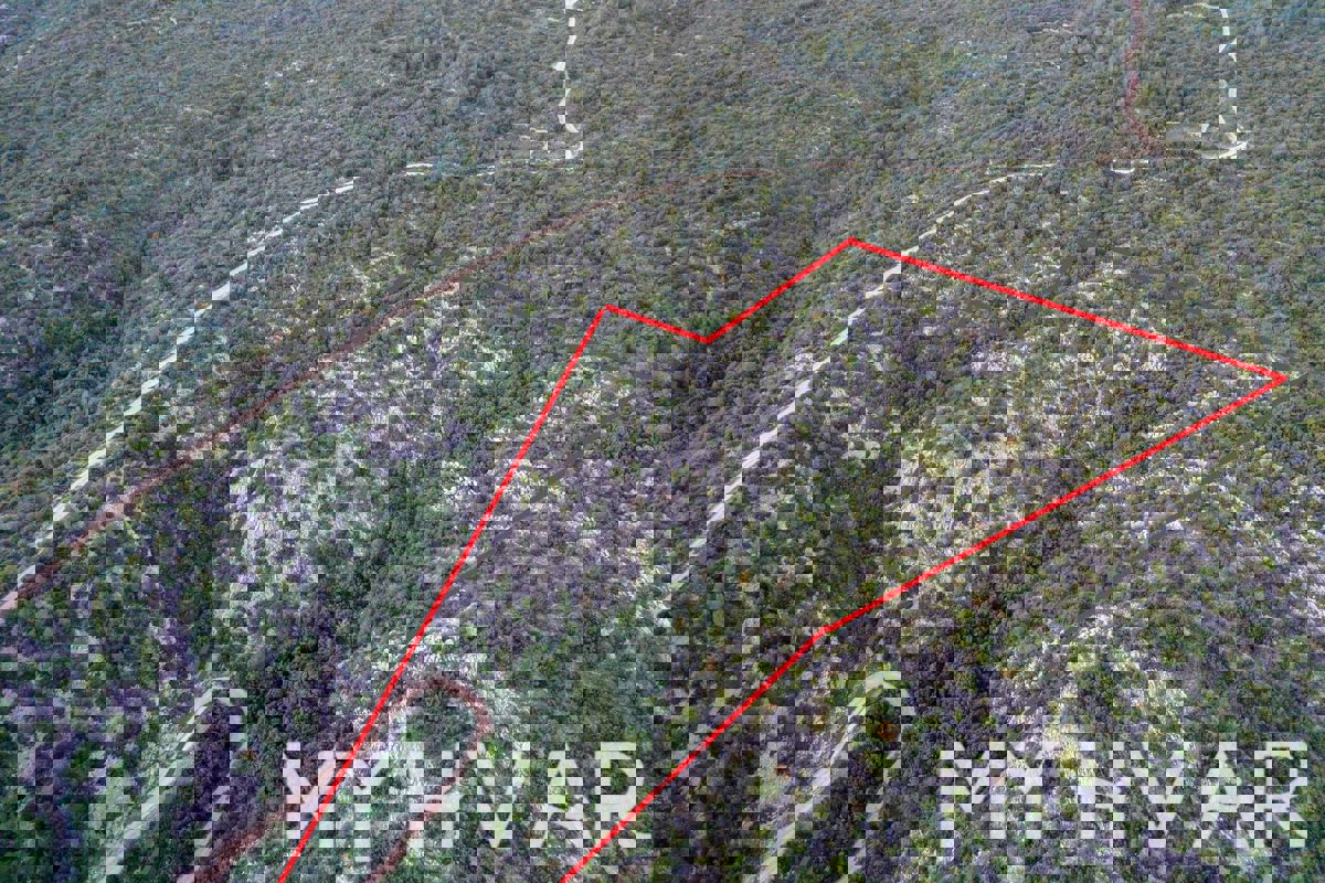 Campo nella vicina baia Medvidina #1