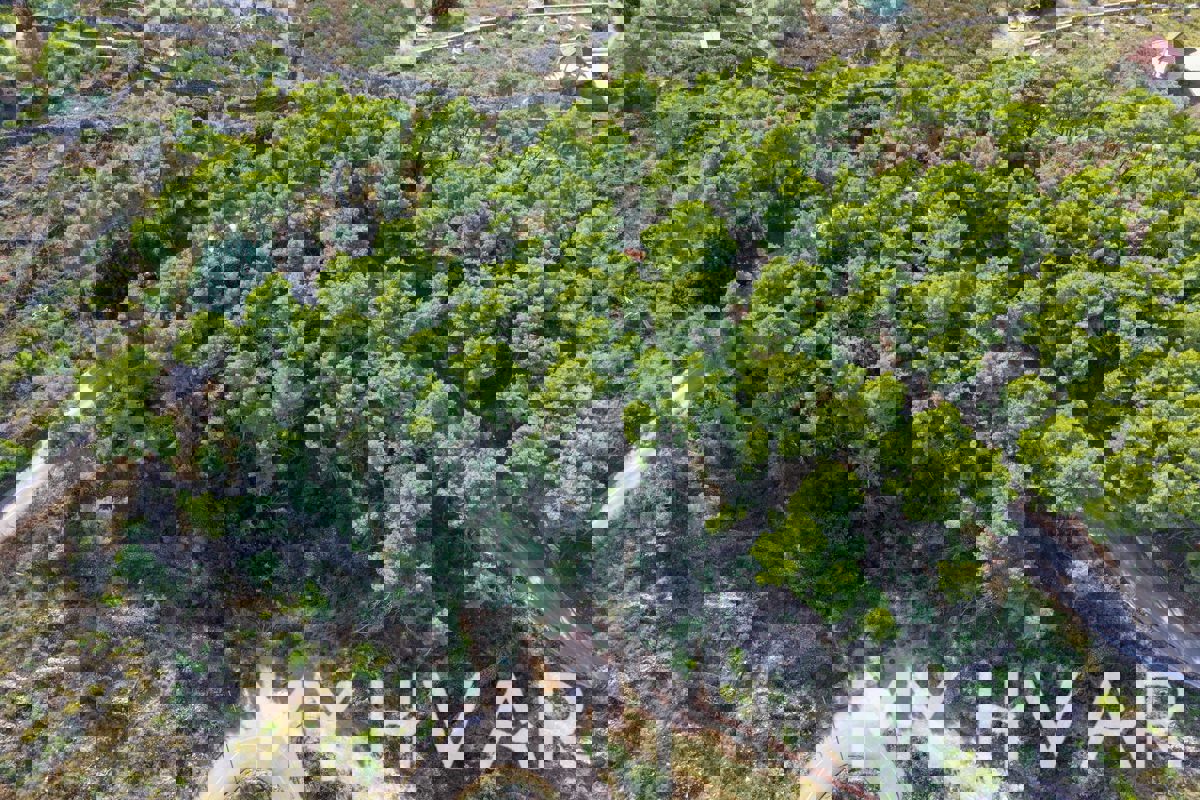 Terreno edificabile a Lučica a Jelsa