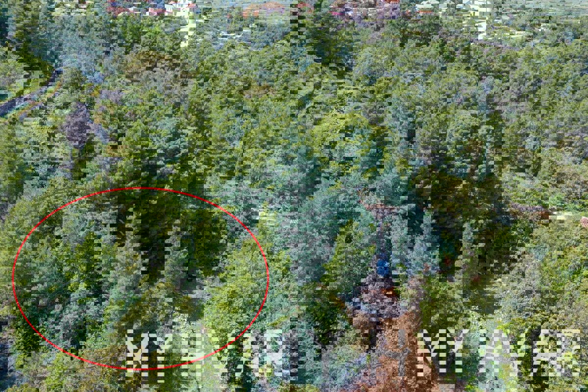 Terreno edificabile a Dol