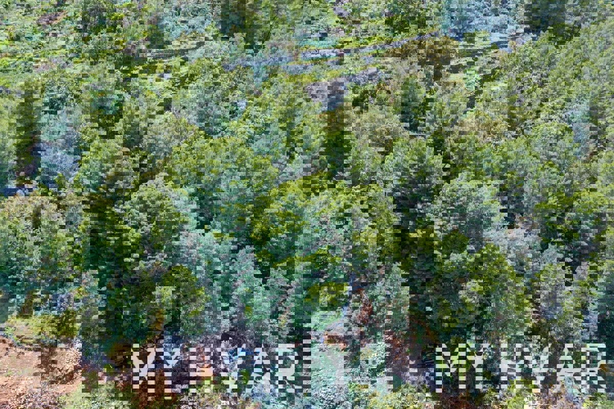 Terreno edificabile a Dol