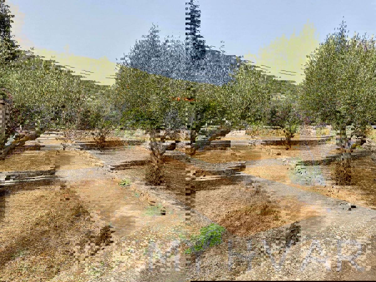 Casa al piano terra a Zastražišće