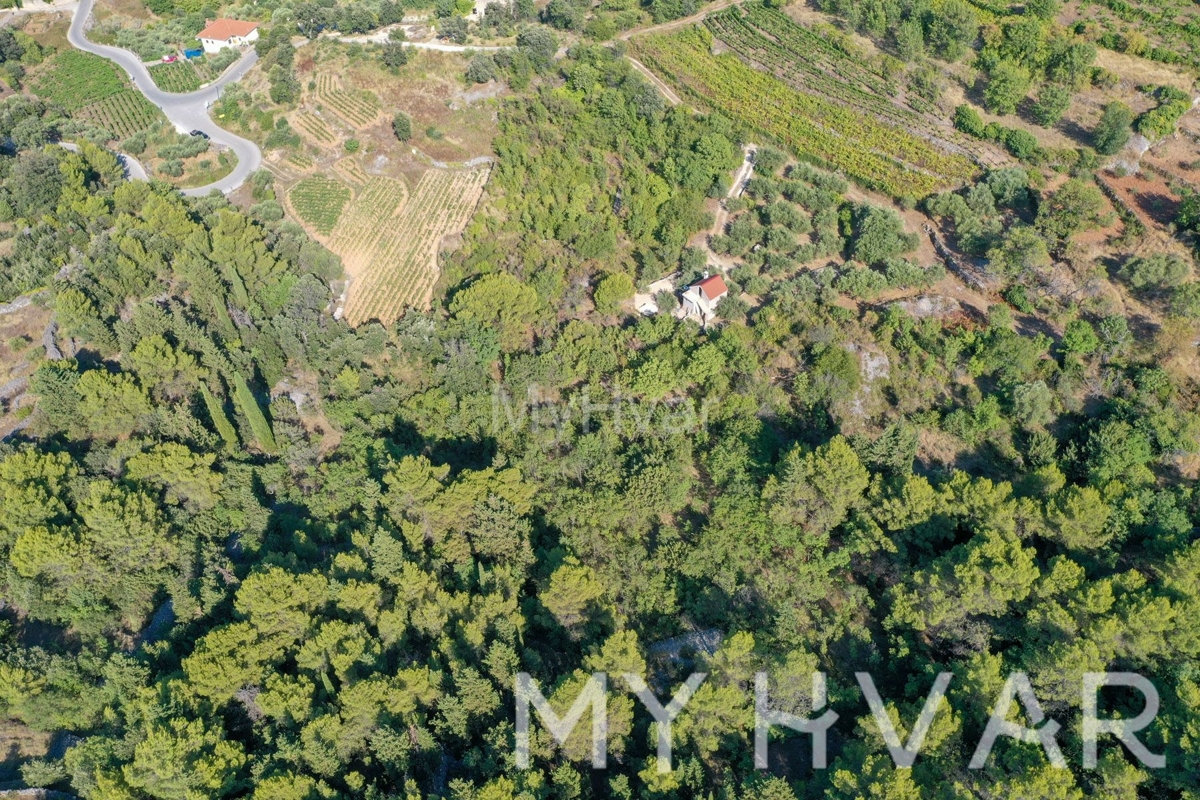 Terreno agricolo a Pitve Inferiore