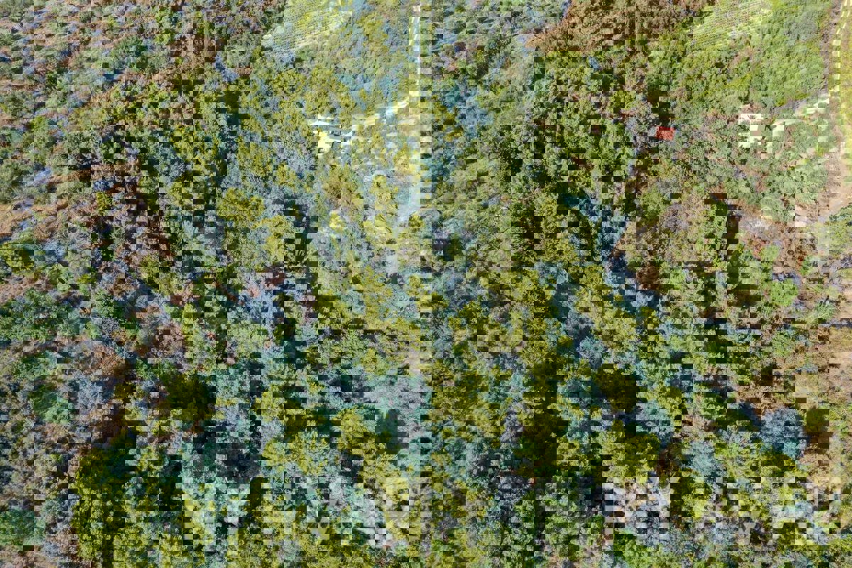 Terreno agricolo a Pitve Inferiore