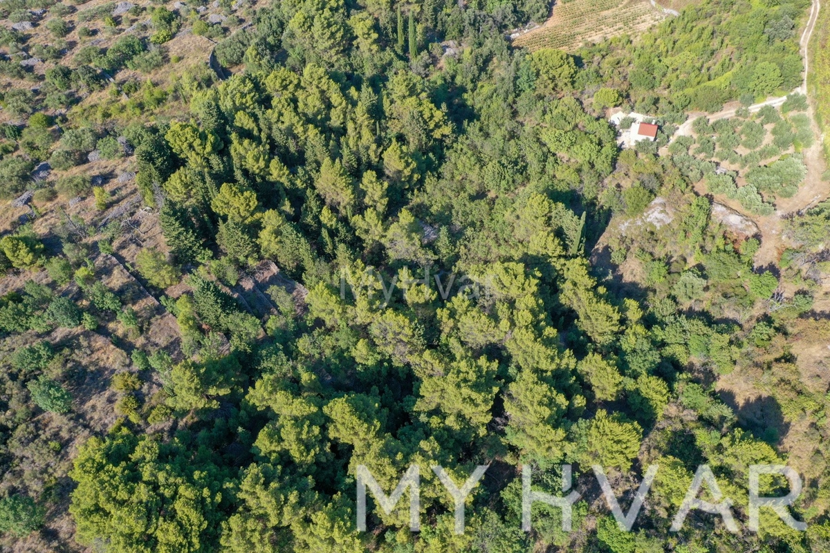 Terreno agricolo a Pitve Inferiore