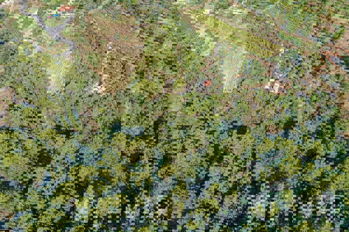 Terreno agricolo a Pitve Inferiore