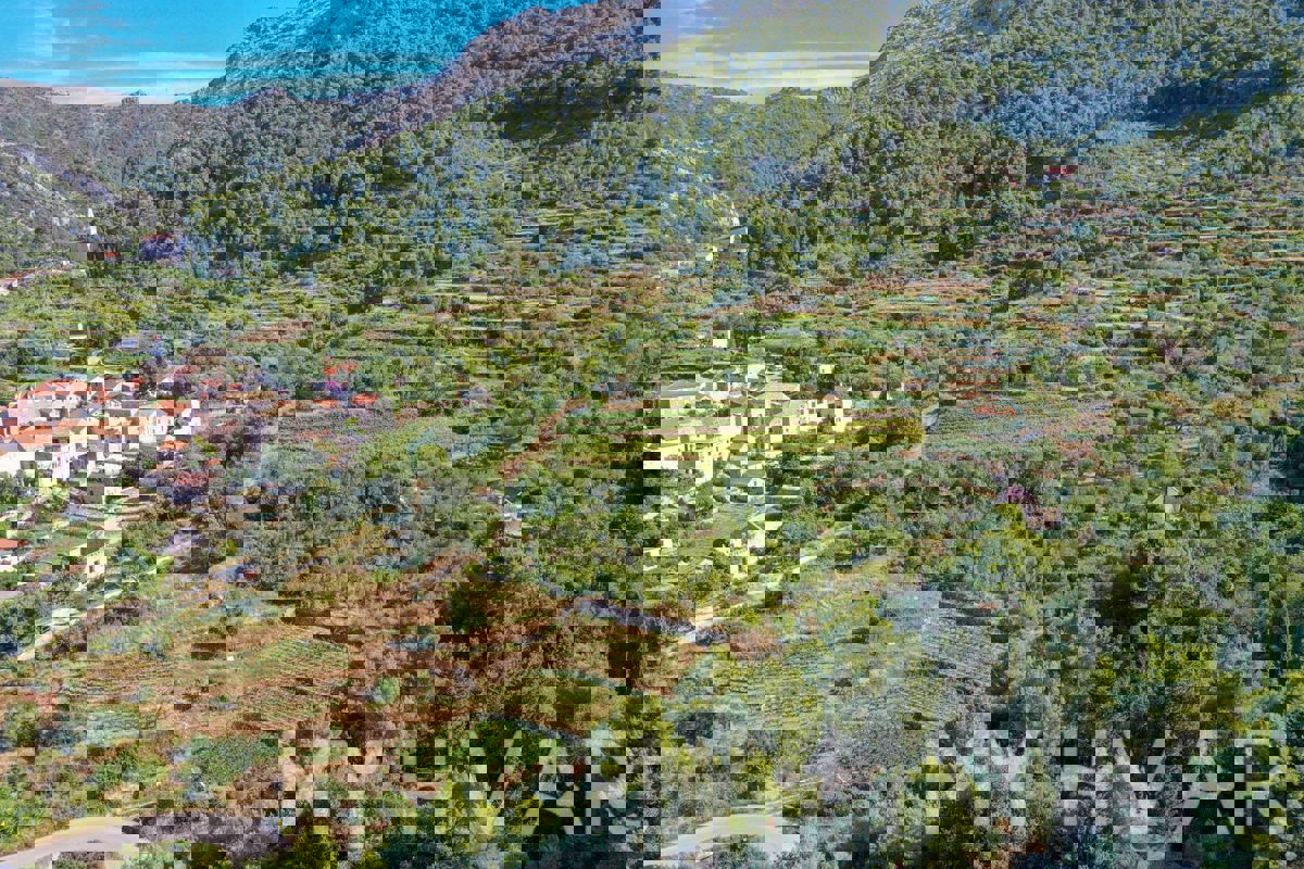 Terreno agricolo a Pitve Inferiore