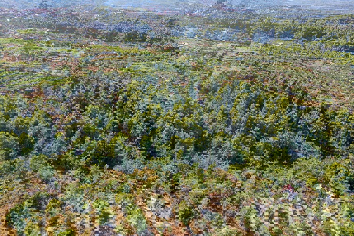 Terreno agricolo a Pitve Inferiore