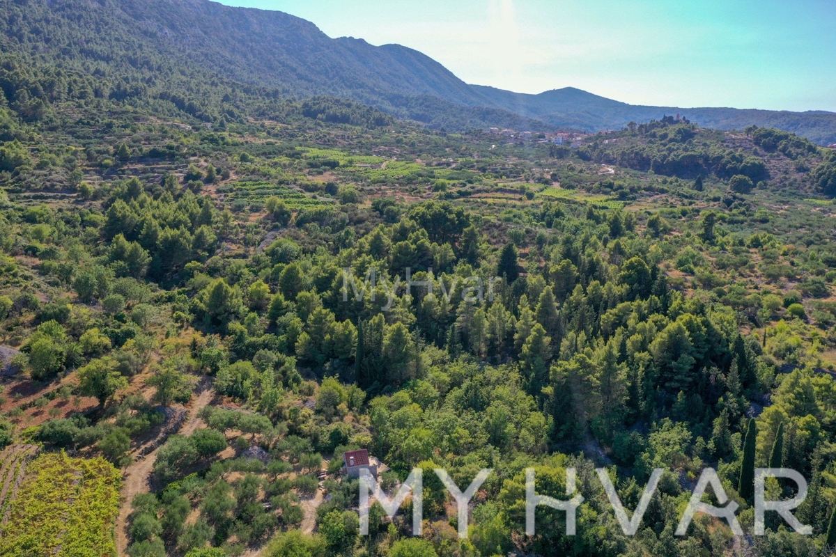 Terreno agricolo a Pitve Inferiore