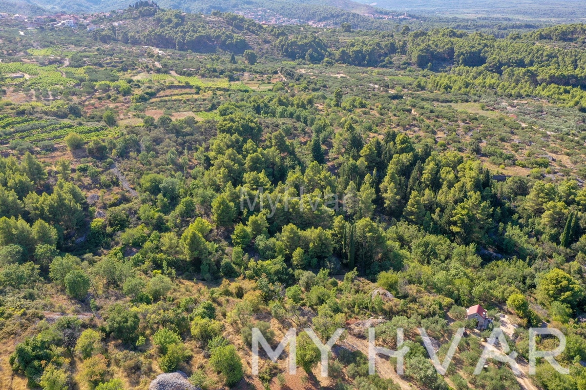 Terreno agricolo a Pitve Inferiore